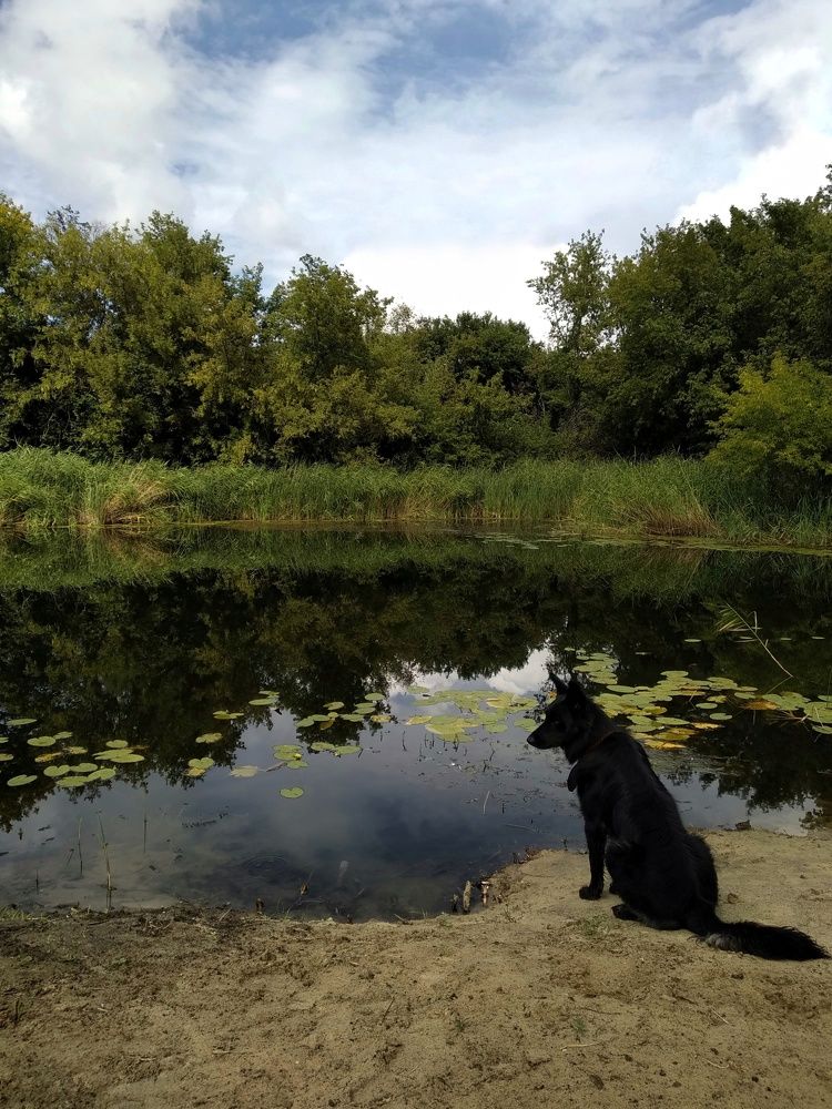 Photograph by Людмила М