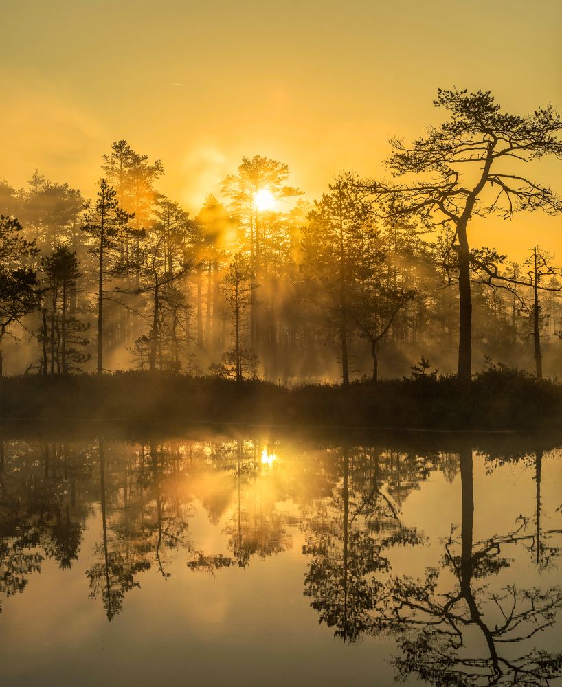 Photograph by Nikolai Mordan