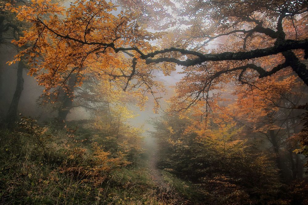 Фотография автора Милокост Алексей