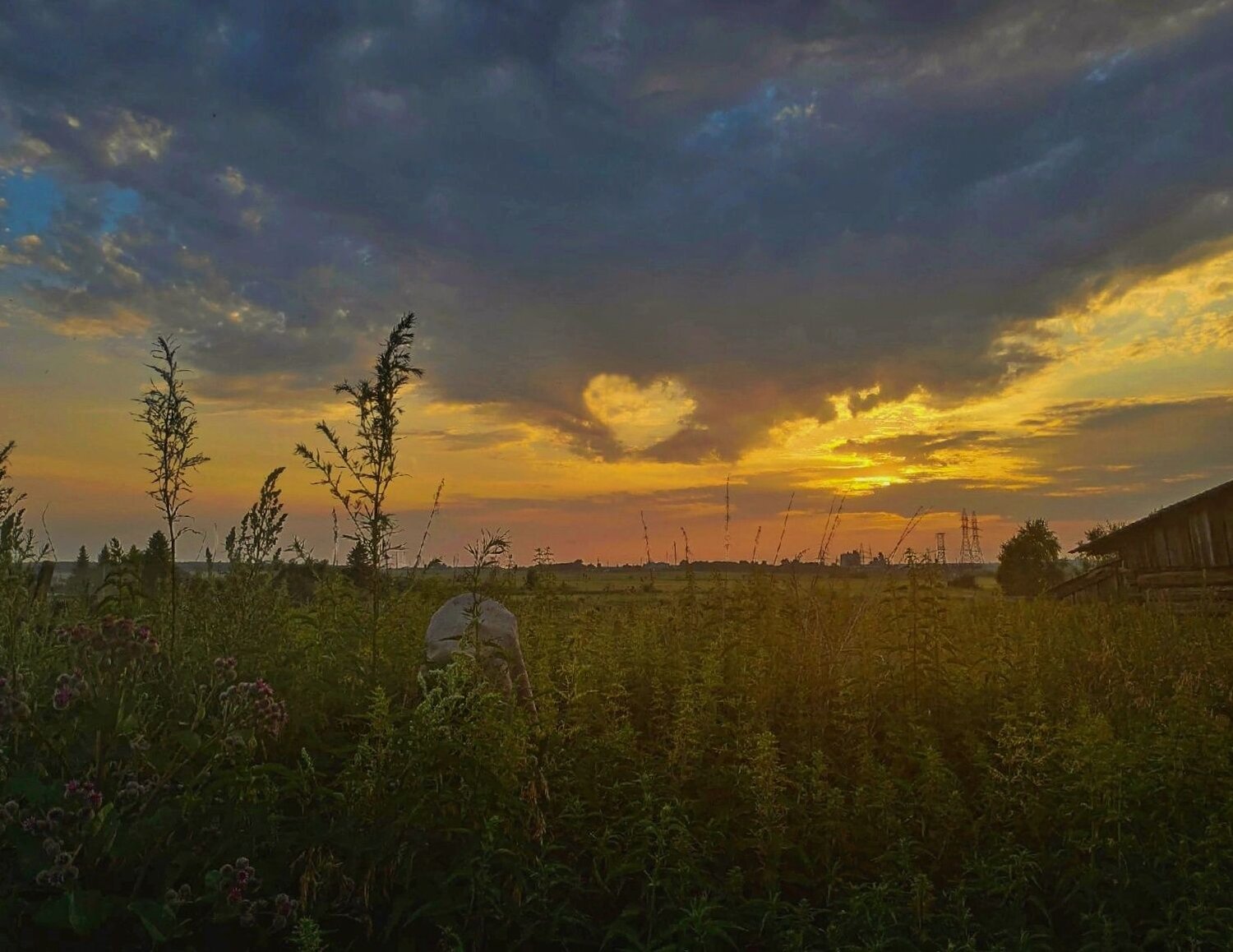 Photo #7033483