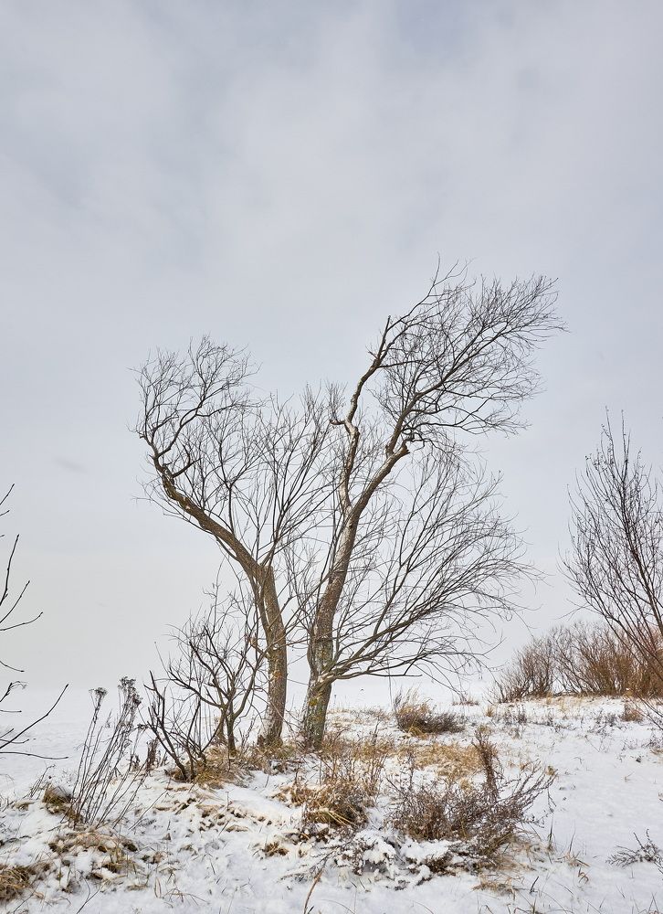 Photograph by Александр Максимов