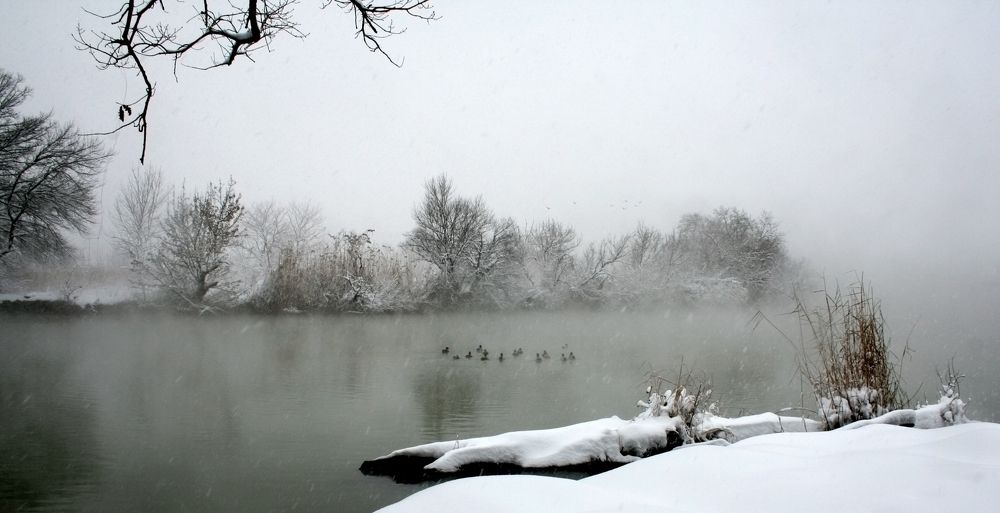 Photograph by Natalya Chumak