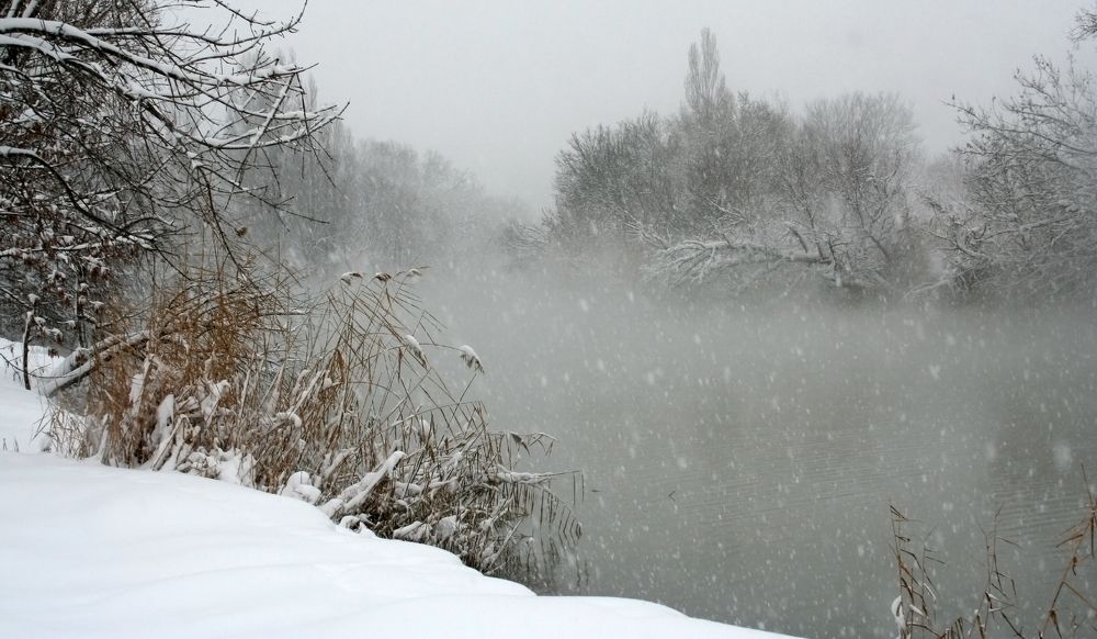 Photograph by Natalya Chumak