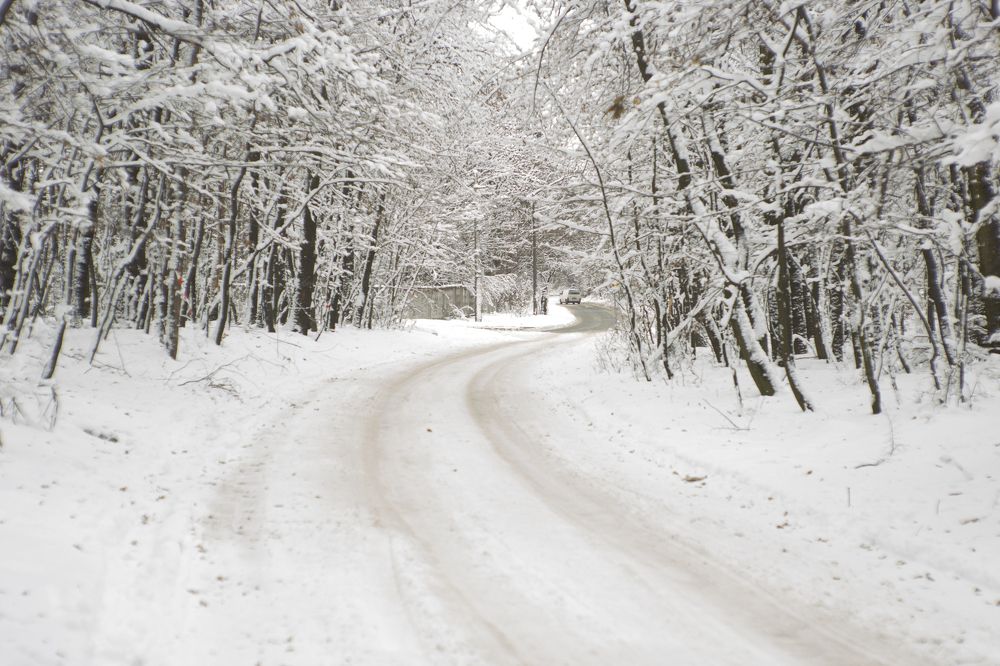 Photograph by Tatiana Kravchuk