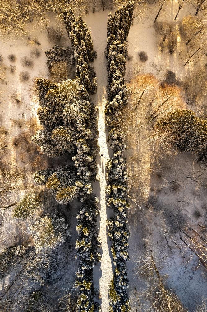 Фотография автора Богдан Михаськів