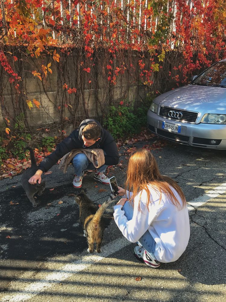 Photograph by Татьяна Богданова