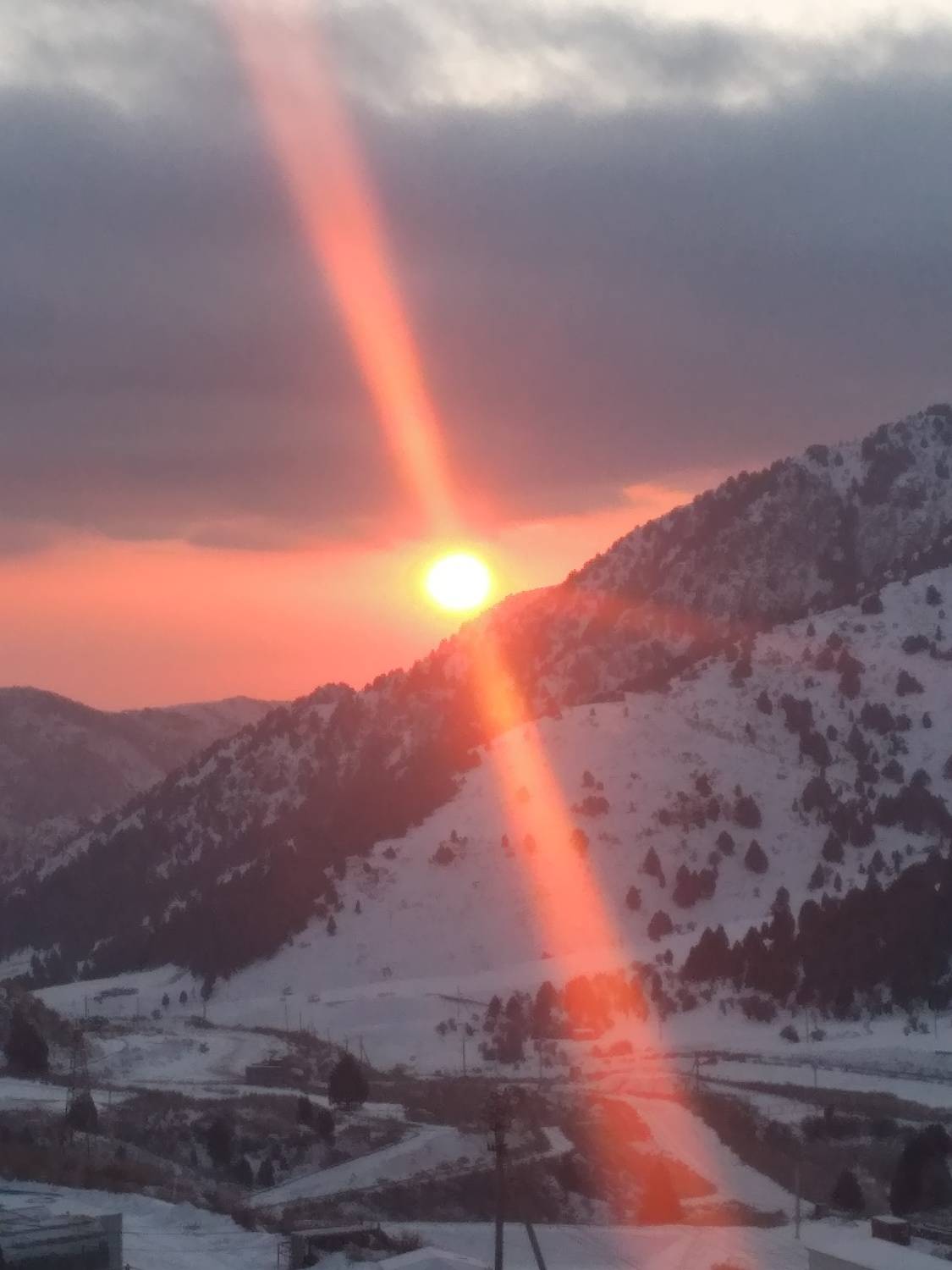 Photo #7033892