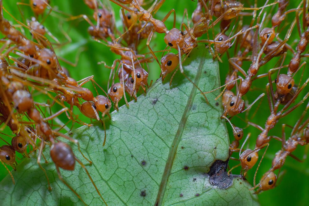Фотография автора Sasindu Pramuditha