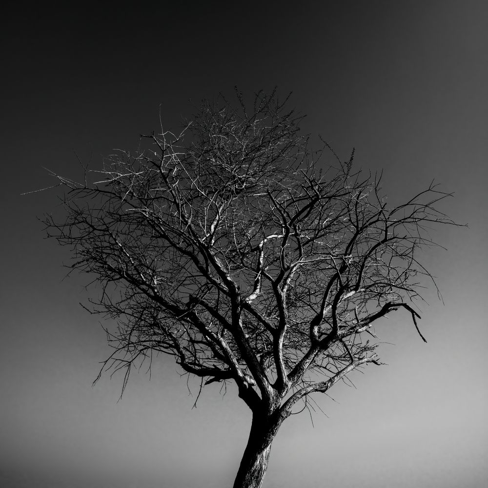 Photograph by Babar Swaleheen