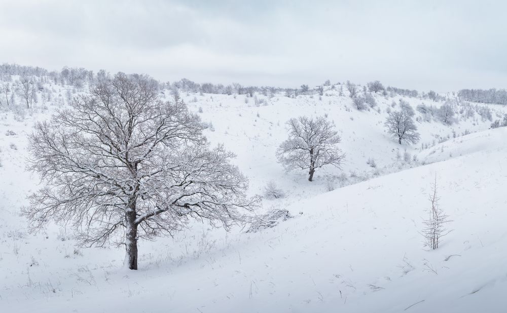Photograph by Сергей Когда