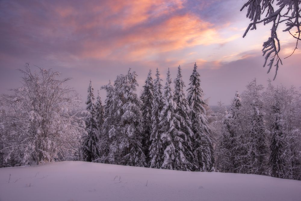 Photograph by Михаил Карпов