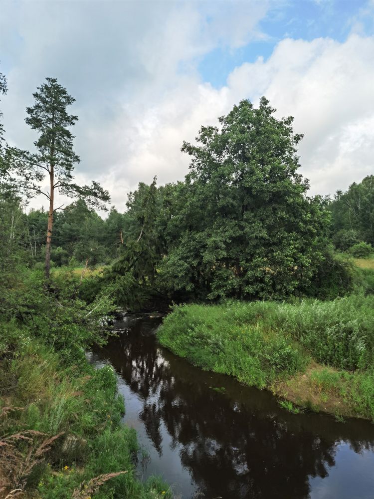 Спокойствие