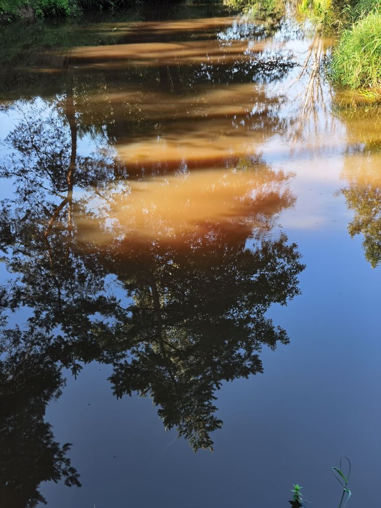 Отражение прохлады в тени