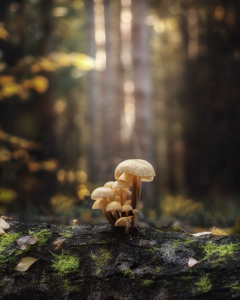 Photograph by Мозжухин Максим