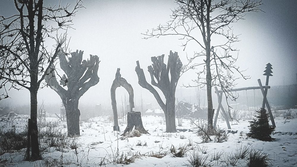 Photograph by Юлия Шмидт