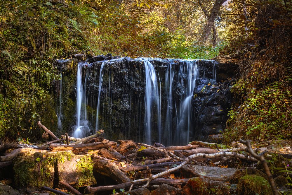 Photograph by Małgorzata