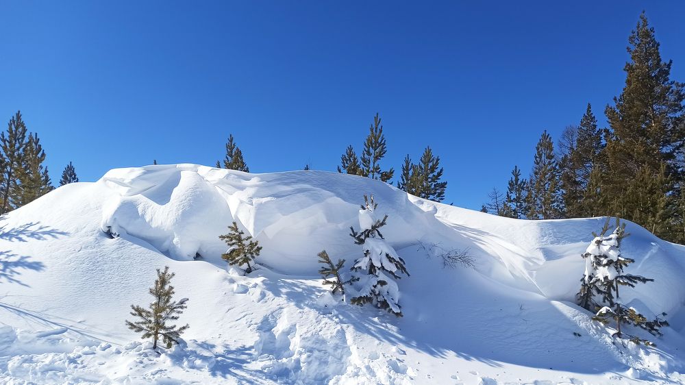 Фотография автора Мария Веселова