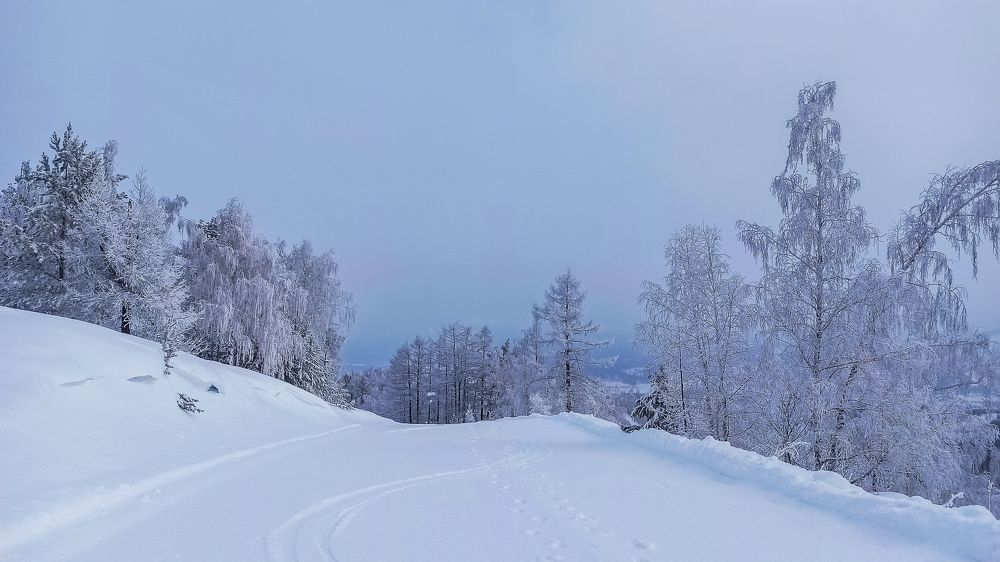 Фотография автора Мария Веселова