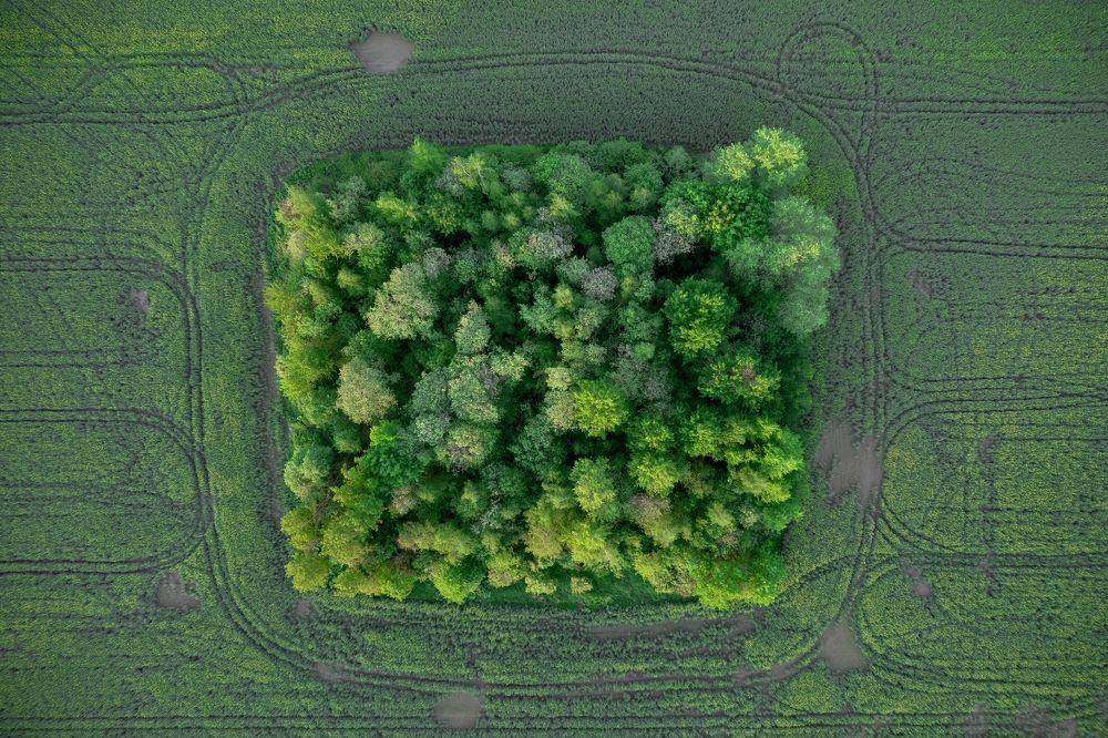 Photograph by Виктор Кабак