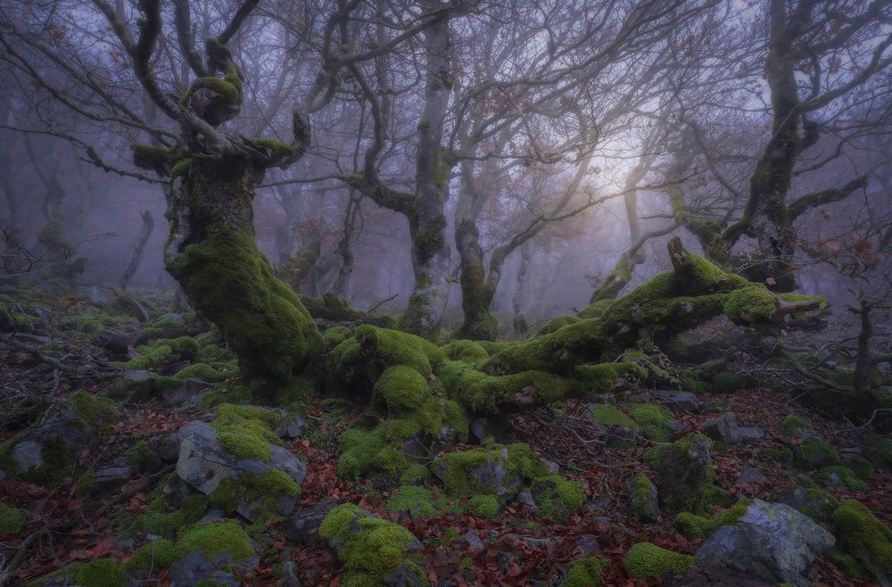 Photograph by Jose Quilon Manuel