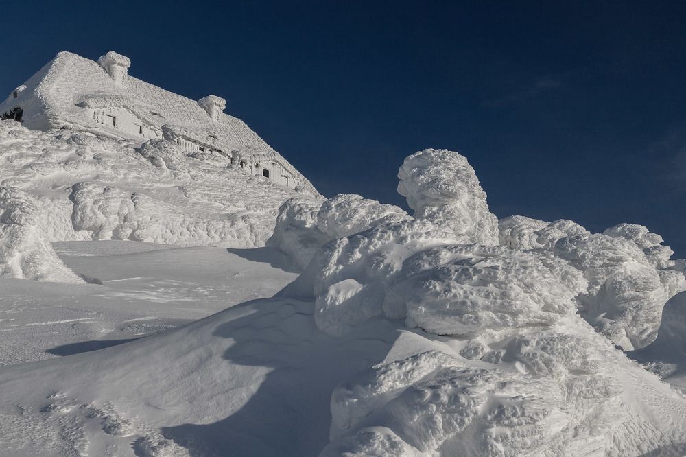 Фотография автора Anna