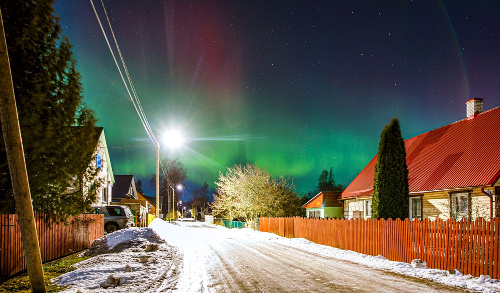 Photograph by Юлия Курм