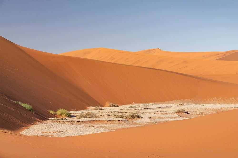 Фотография автора Anna