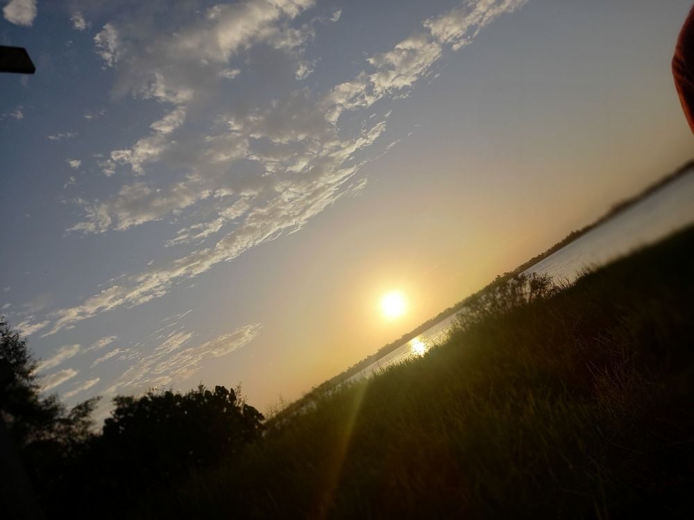 Photo #7034270