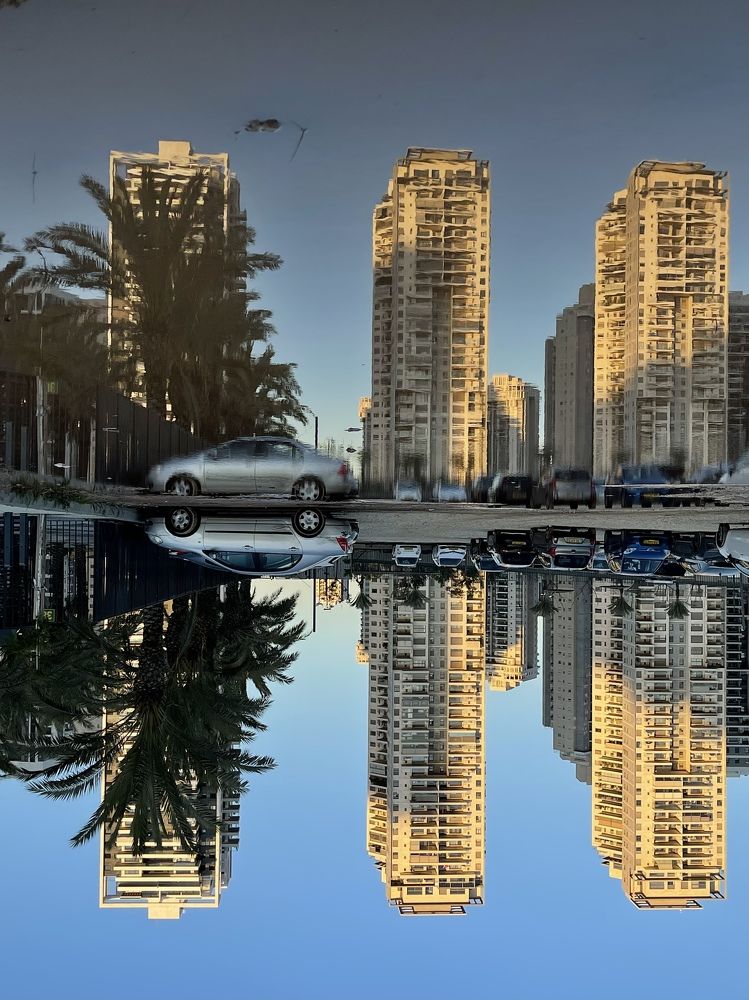 Photograph by Svetlana