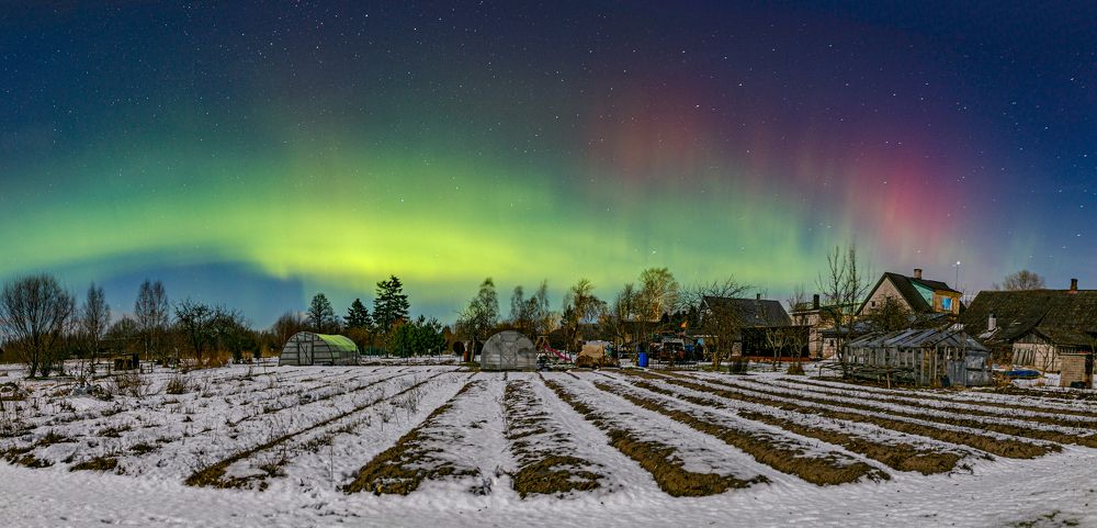 Photograph by Юлия Курм