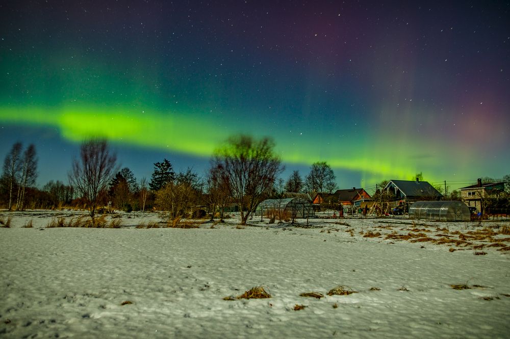 Photograph by Юлия Курм