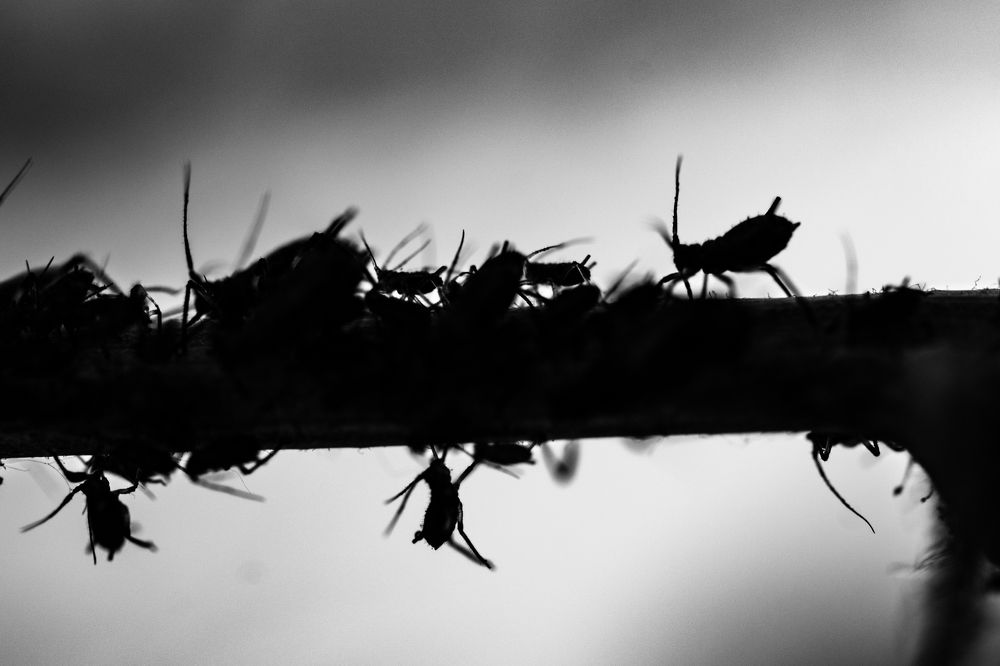 Photograph by Юлия Боровкова