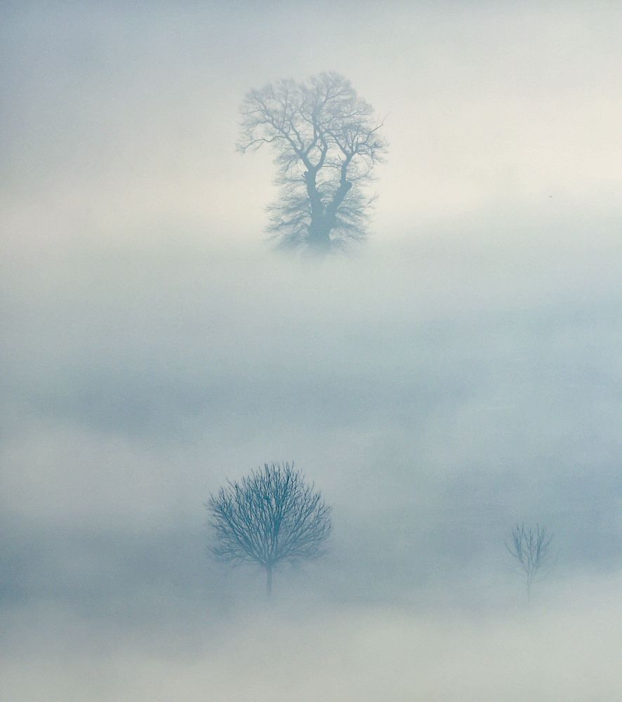 Photograph by Şaban Kılıçcı