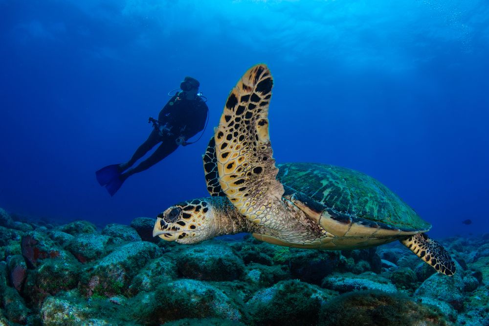 Photograph by Carlos Eduardo Barreto Pinheiro