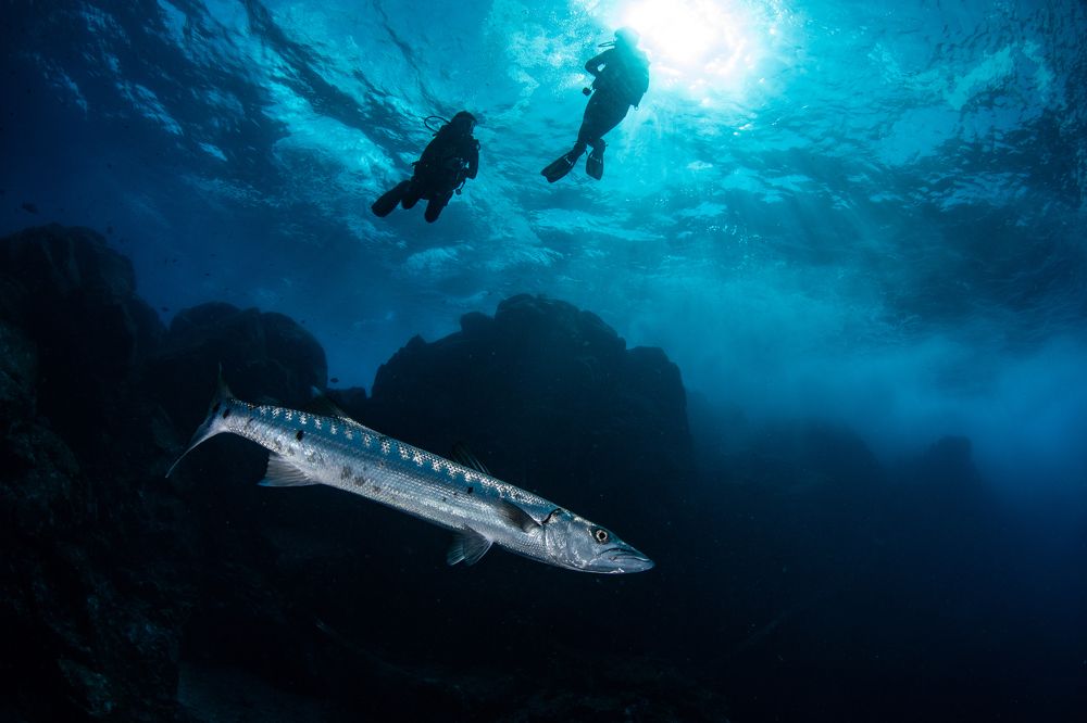 Photograph by Carlos Eduardo Barreto Pinheiro