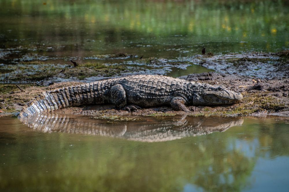 Photograph by Carlos Eduardo Barreto Pinheiro