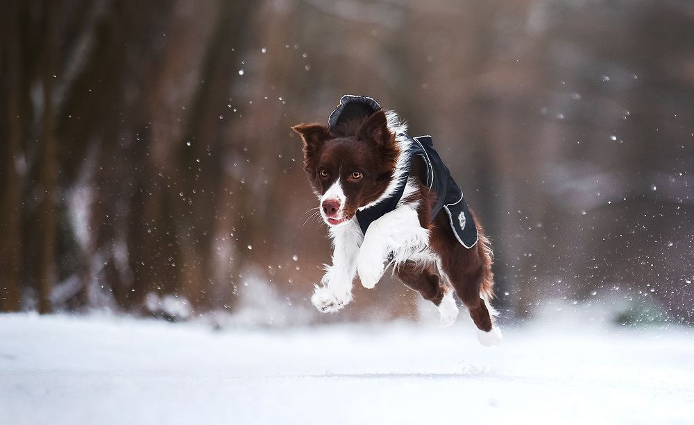 Photograph by Екатерина Коваленко