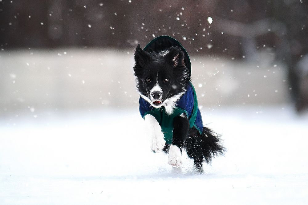 Photograph by Екатерина Коваленко