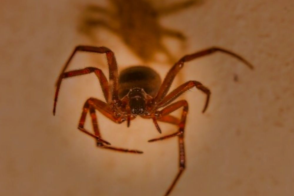 Photograph by Francisco Ferreira