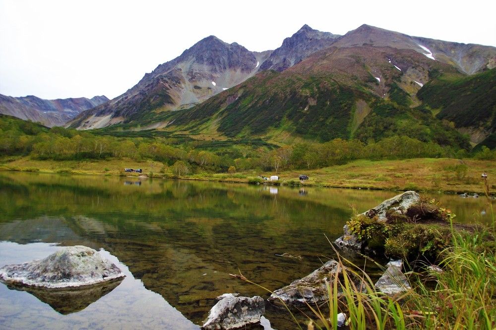 Photograph by Ирина Фирсова