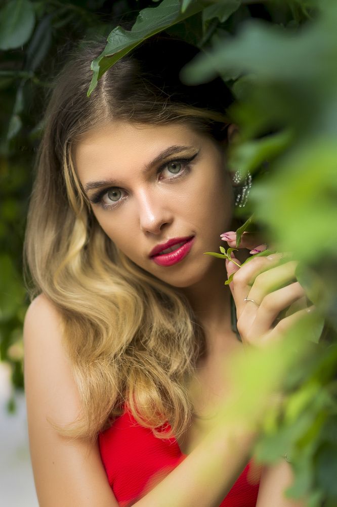 Photograph by andrei bogdan