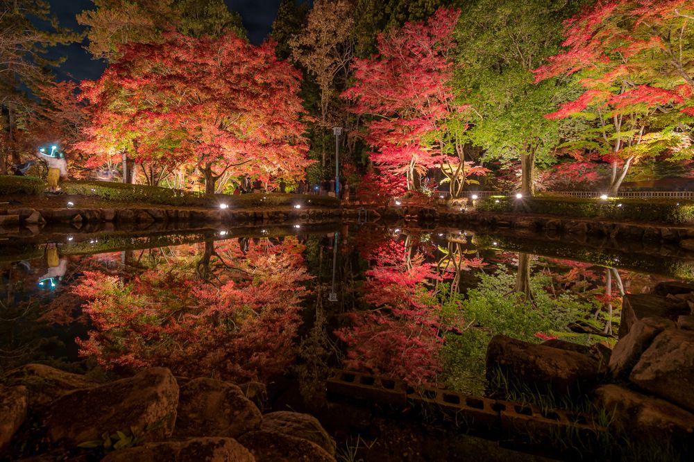 Photograph by Matsubara Hiroki