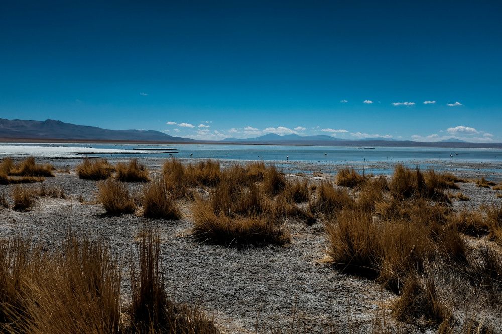 Фотография автора Ирина Копылова