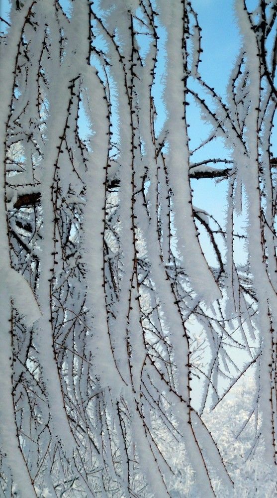 Photograph by Emil Zivanov