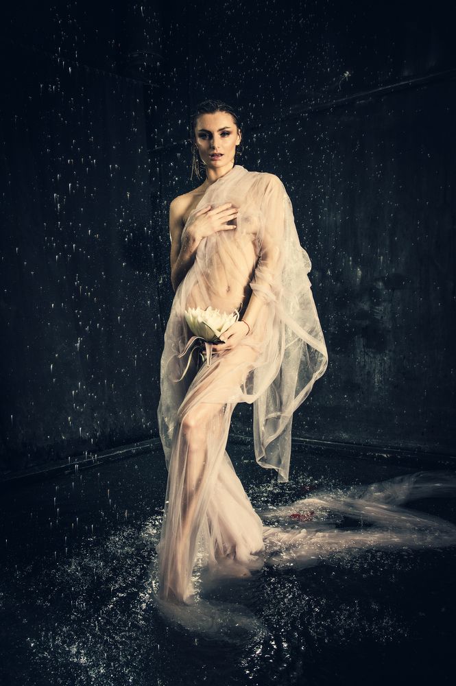 рождение цветка