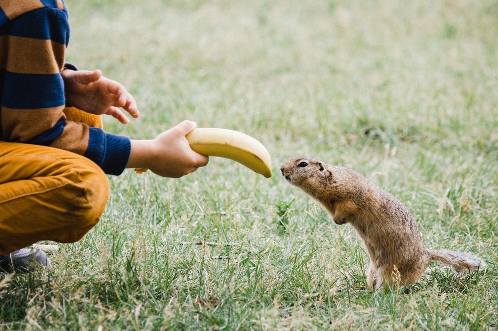 Photograph by Оксана Корчагина