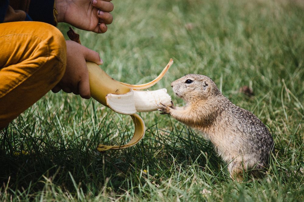 Photograph by Оксана Корчагина