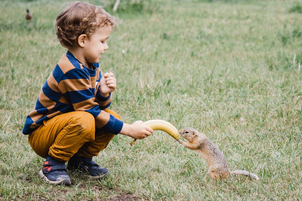 Photograph by Оксана Корчагина