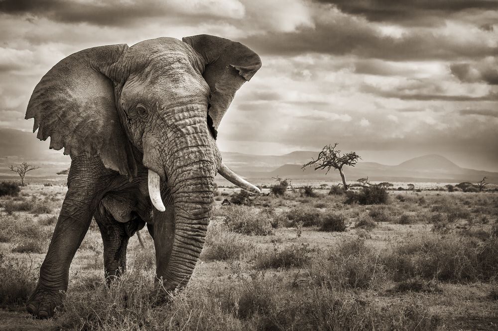 Photograph by Ali Khataw