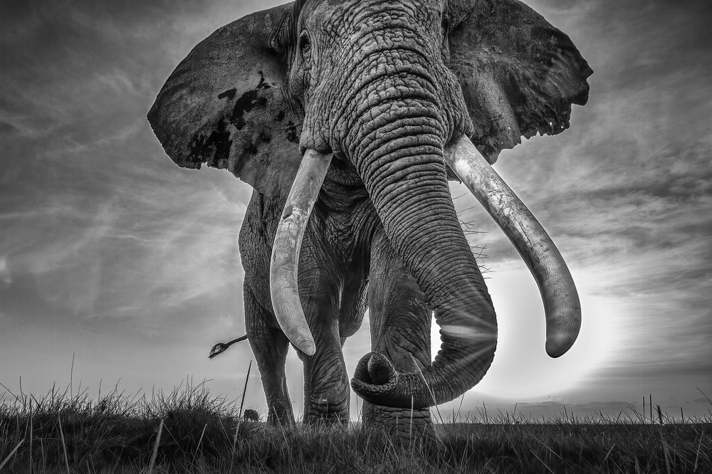 Photograph by Ali Khataw